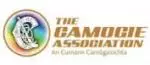 camogie-association