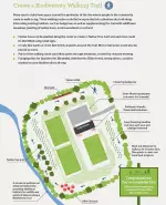create-a-biodiversity-walking-trail